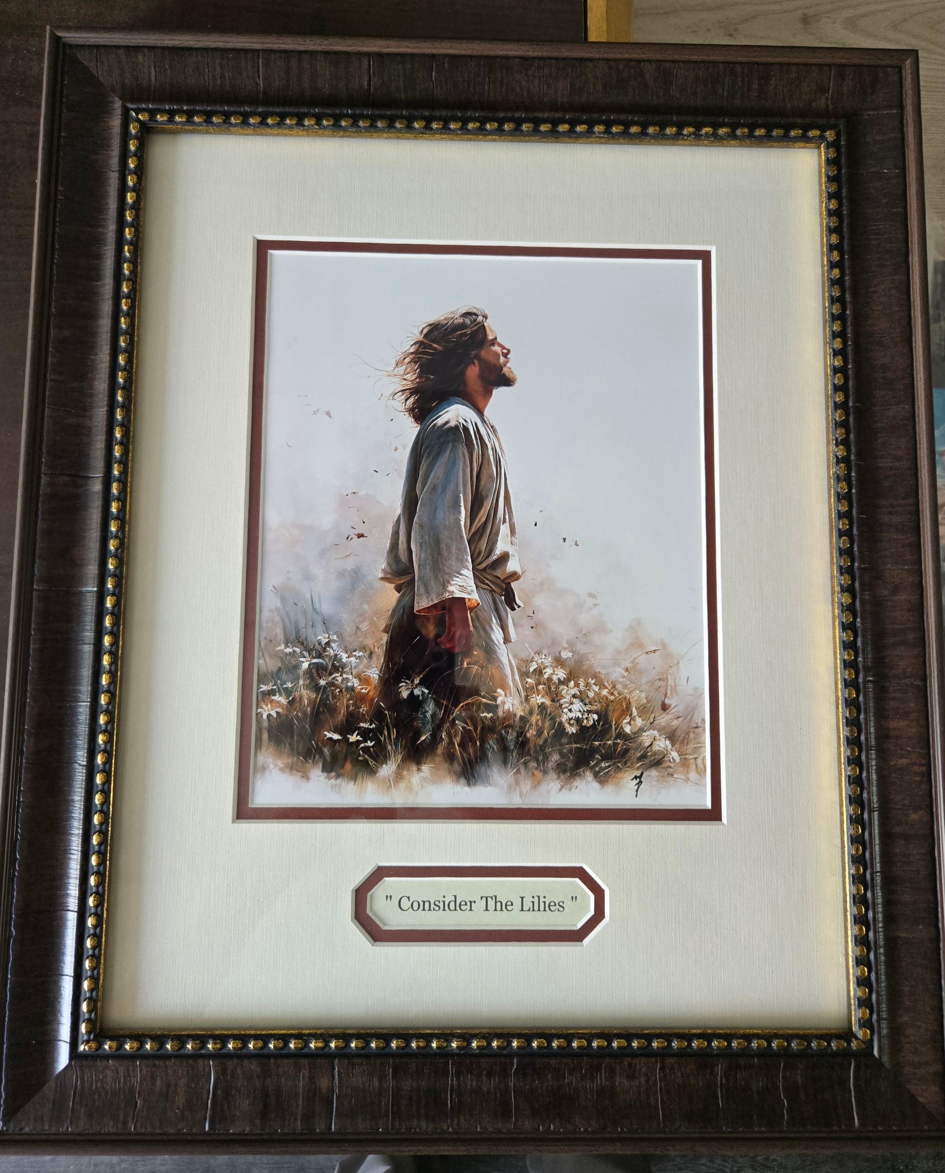 Framed artwork: Jesus in a field, looking up. Brown hair, white robe, gentle colors.