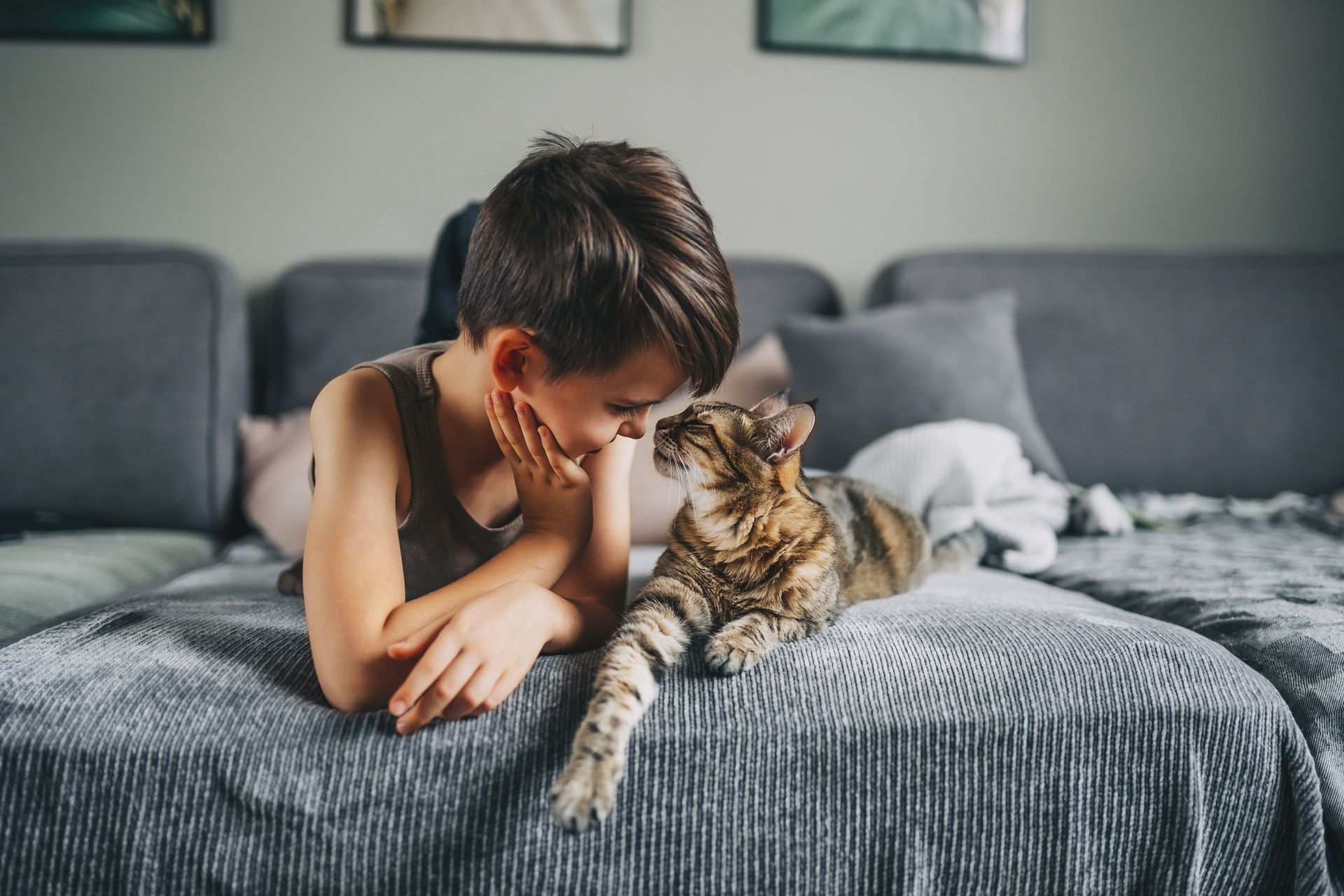 A young boy is laying on a bed with a cat.