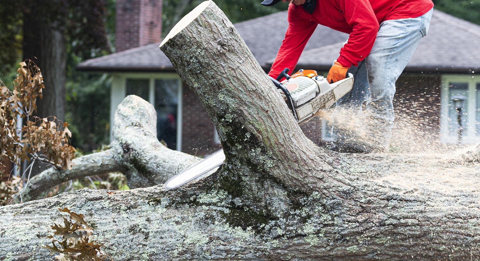 A man is cutting a large log with a chainsaw.