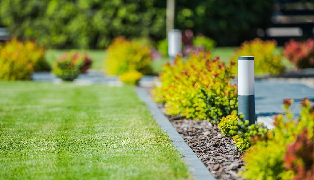 A lush green lawn with a row of shrubs and a lamp post.