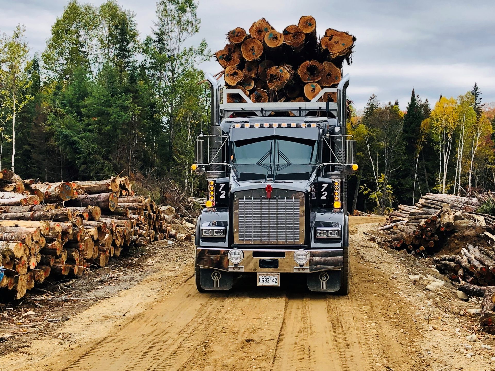 Un camion transportant des grumes roule sur un chemin de terre.