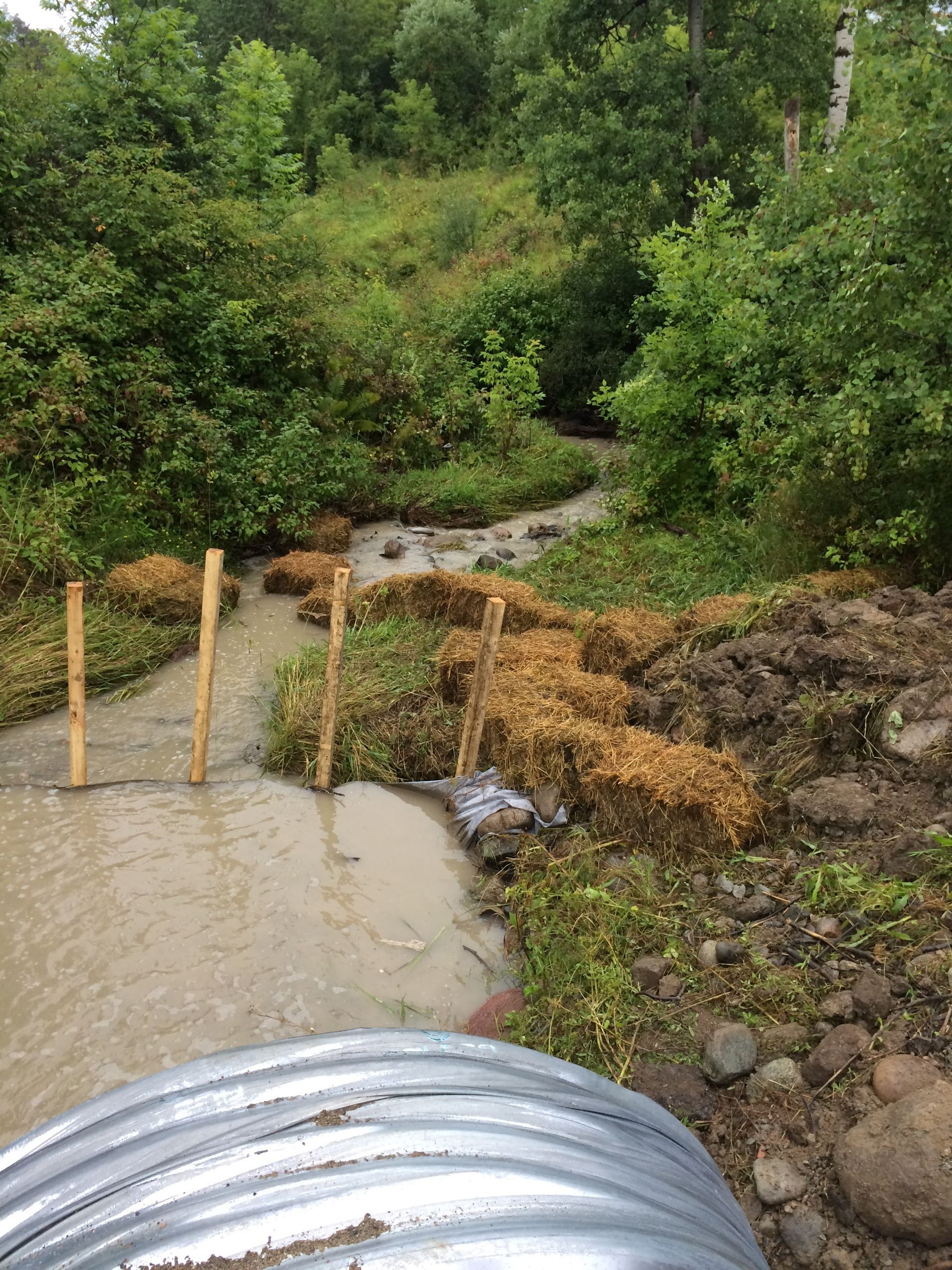 Un ruisseau qui traverse une forêt verdoyante avec un tuyau métallique au premier plan.
