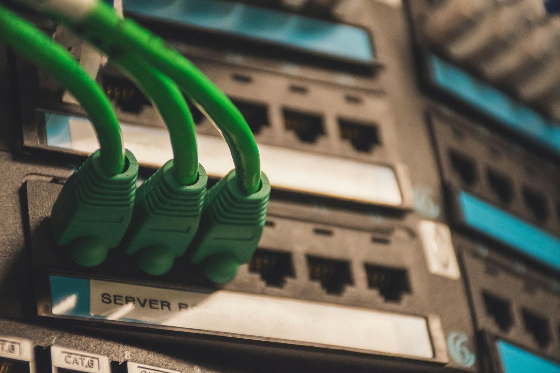 Close-up of green Ethernet cables plugged into a server rack.