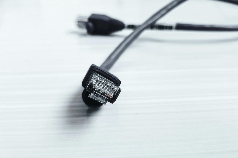 Black ethernet cable with transparent RJ45 connector, on a white surface.