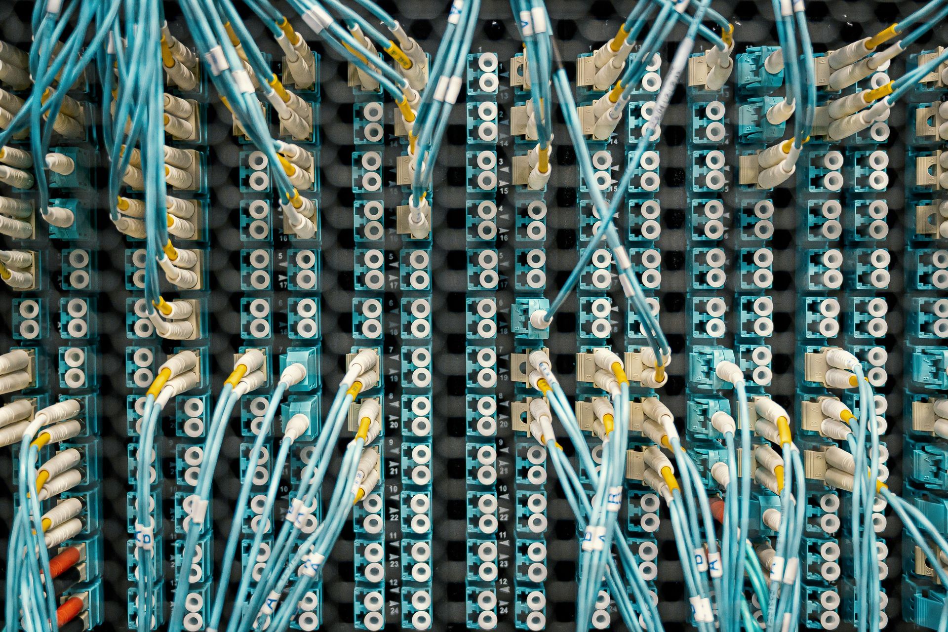 Blue network cables plugged into a server rack with numerous ports.