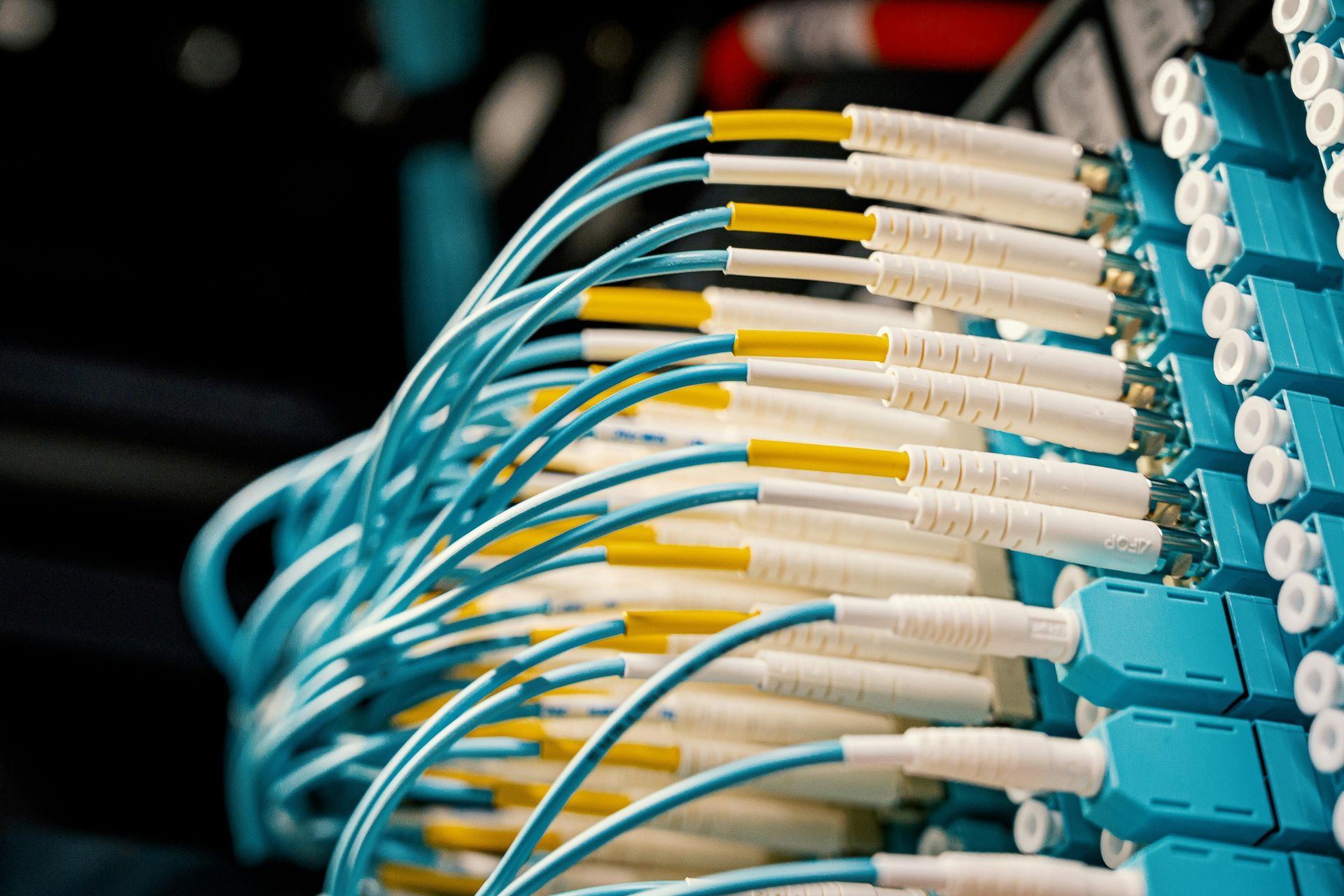 Blue fiber optic cables plugged into a network switch.