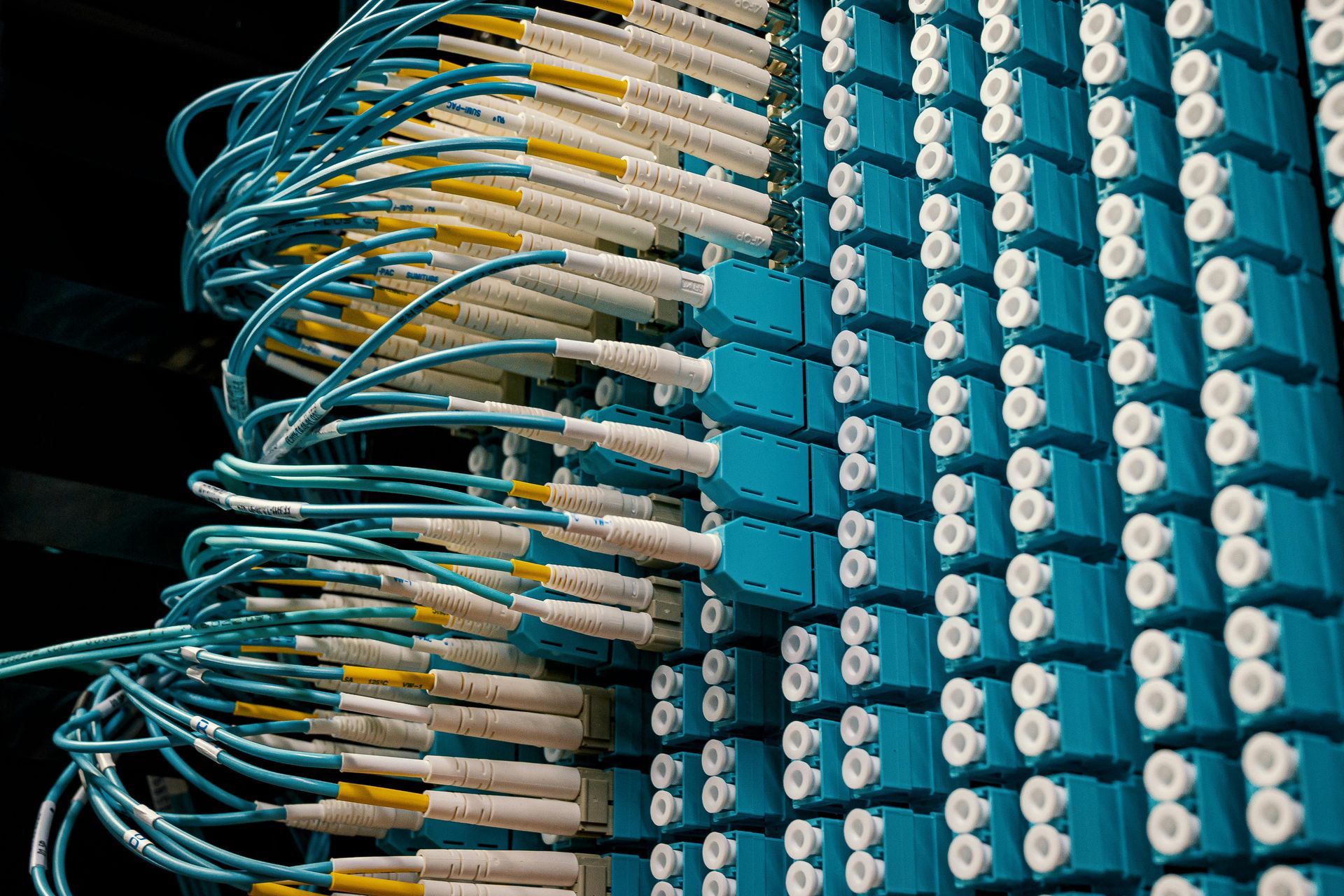 Blue and white fiber optic cables connected to a server rack.