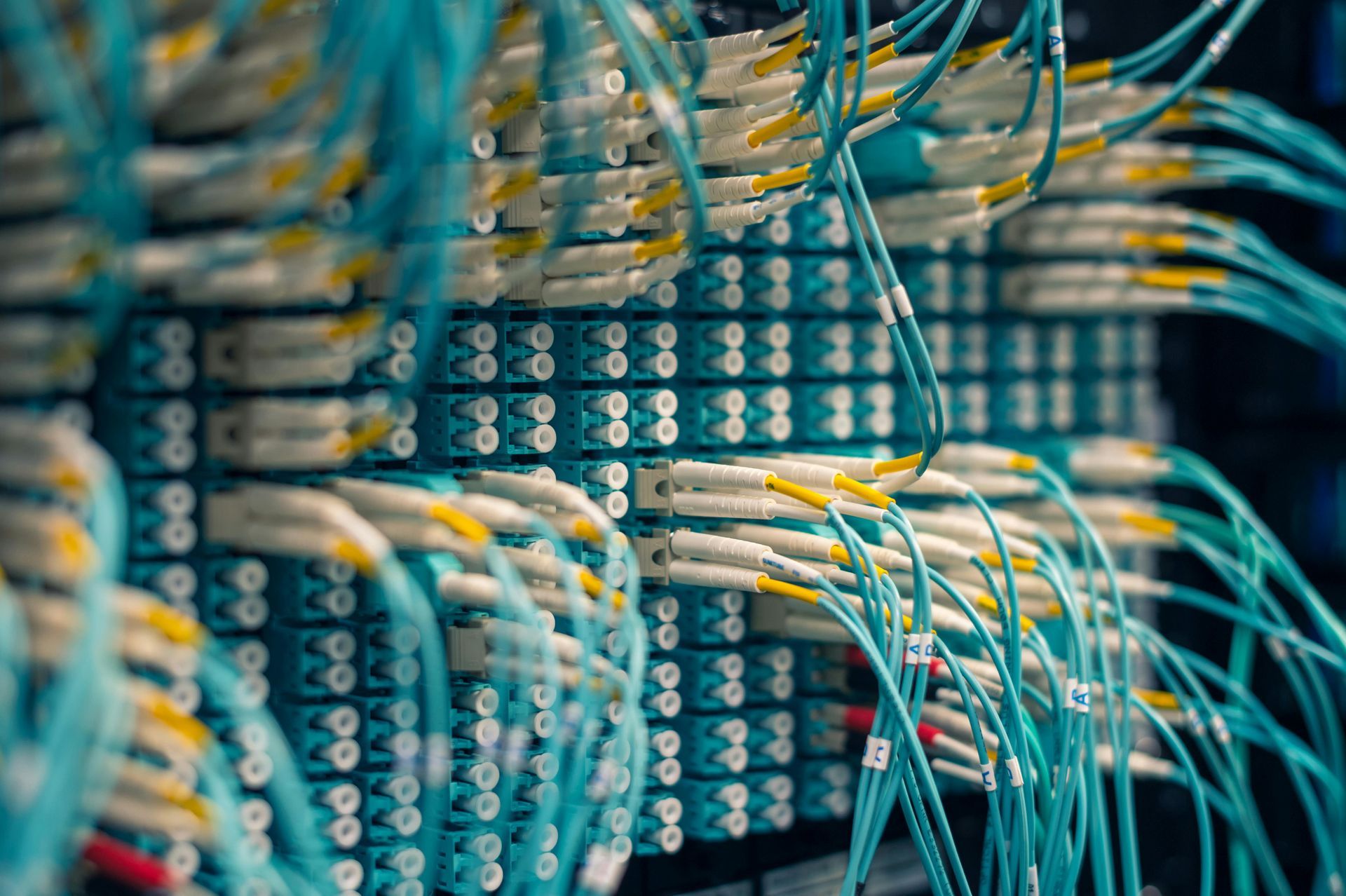 Blue and yellow fiber optic cables plugged into server racks in a data center.
