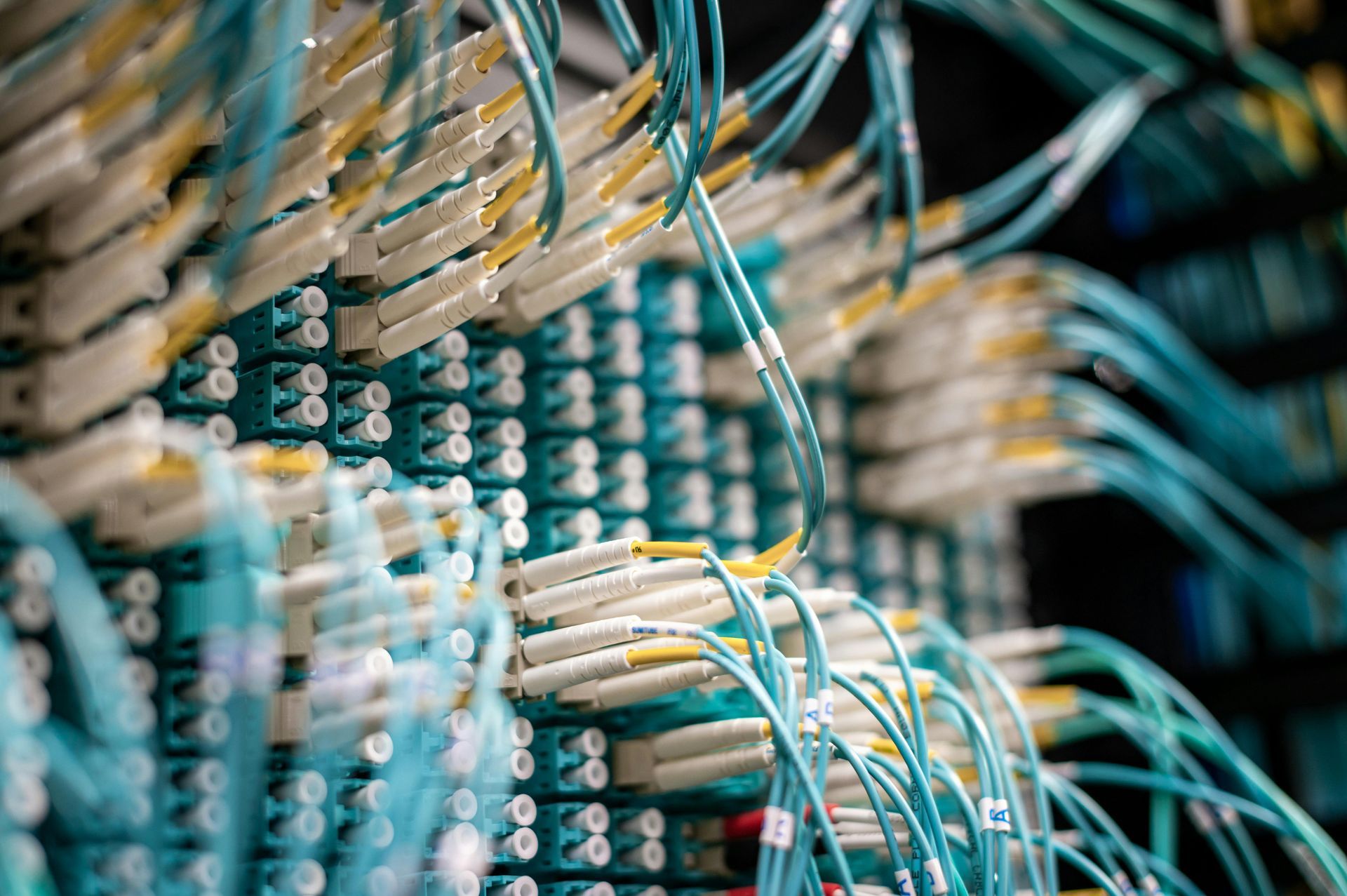 Rows of blue and white fiber optic cables and connectors in a server room.