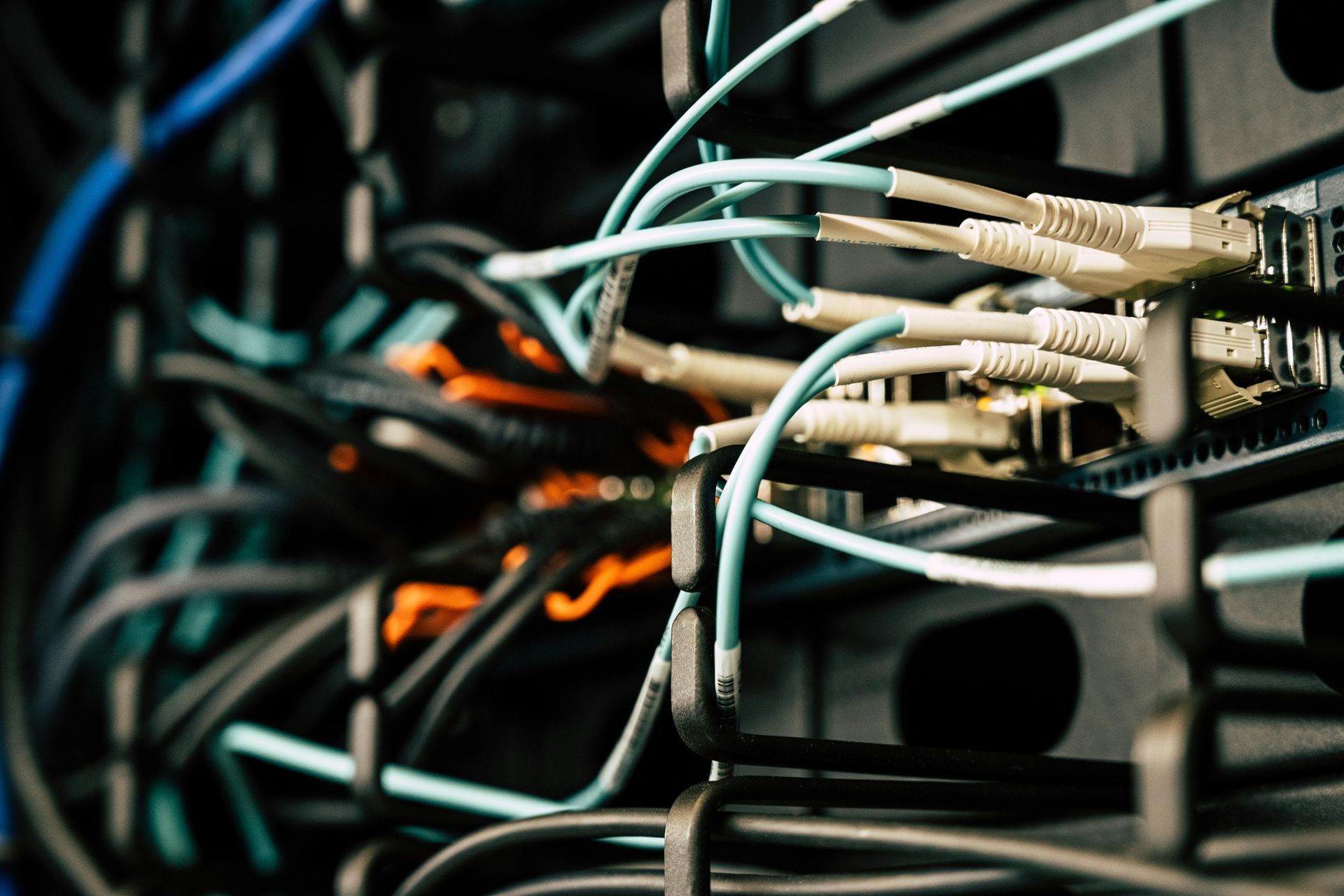 Server rack with a tangle of network cables in various colors.