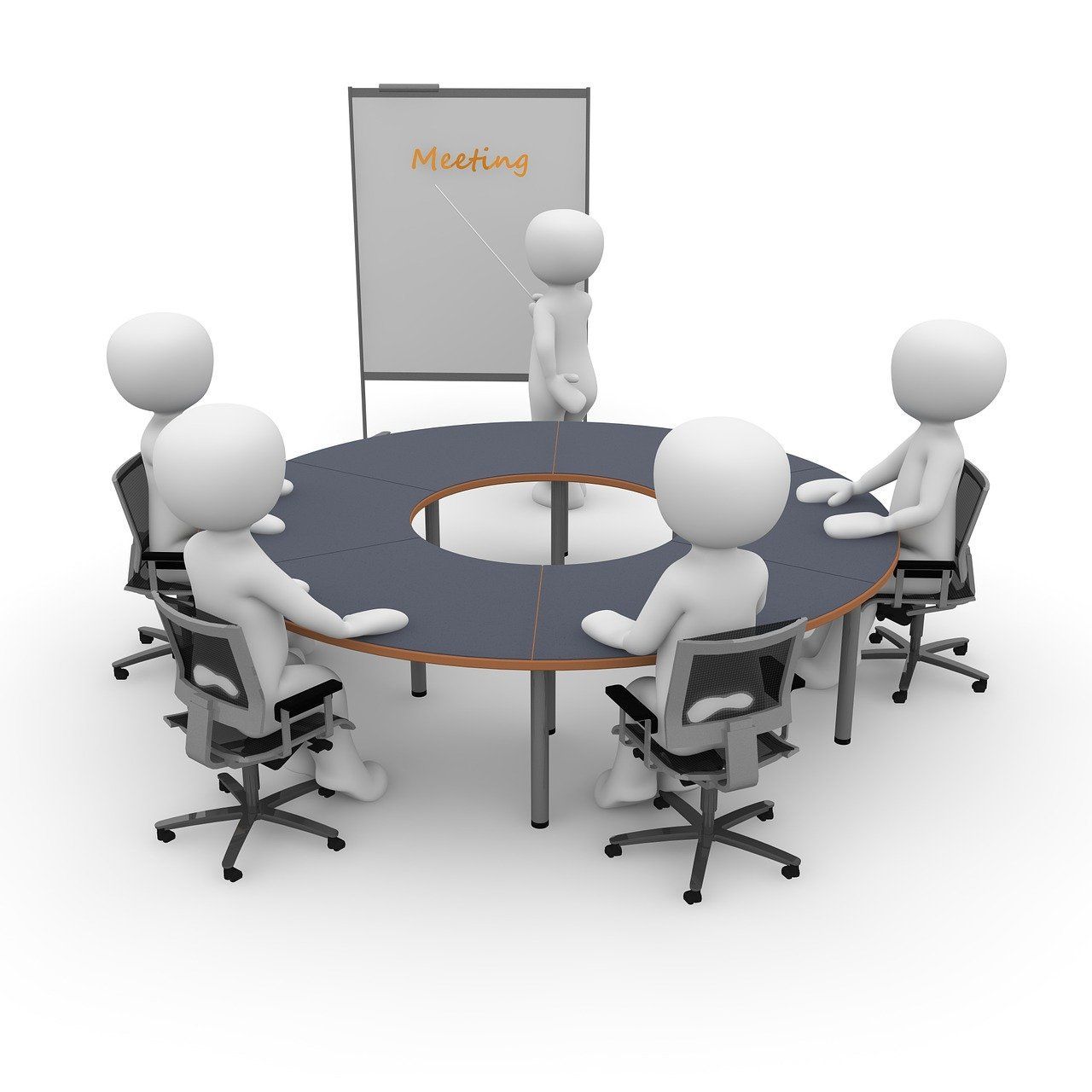 Consulttion Meeting