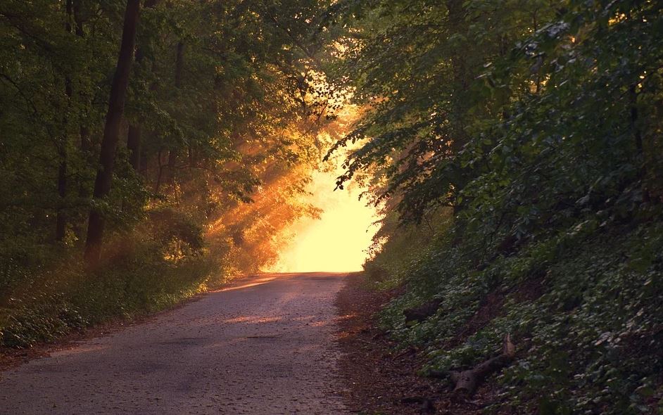 cremation services in Independence, MO