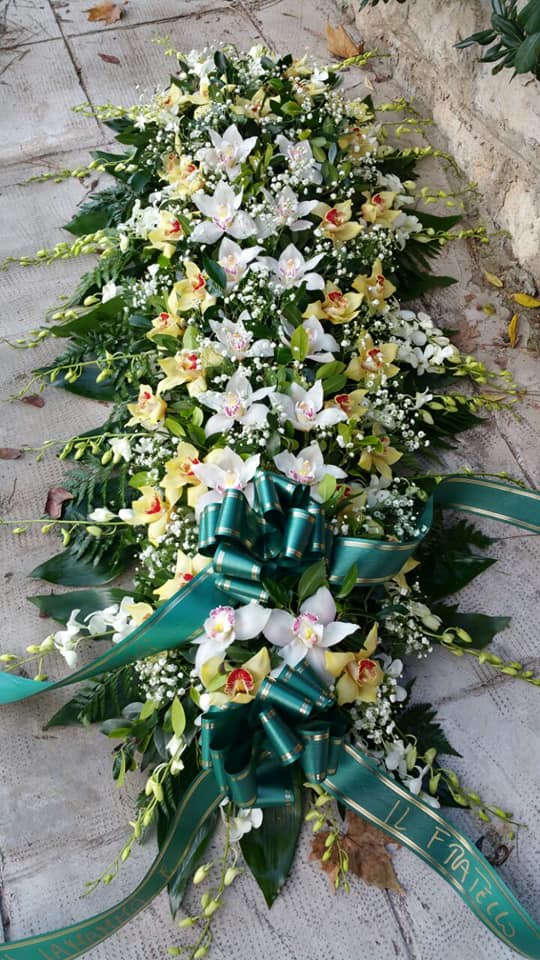 CopriBara Orchidee e spar