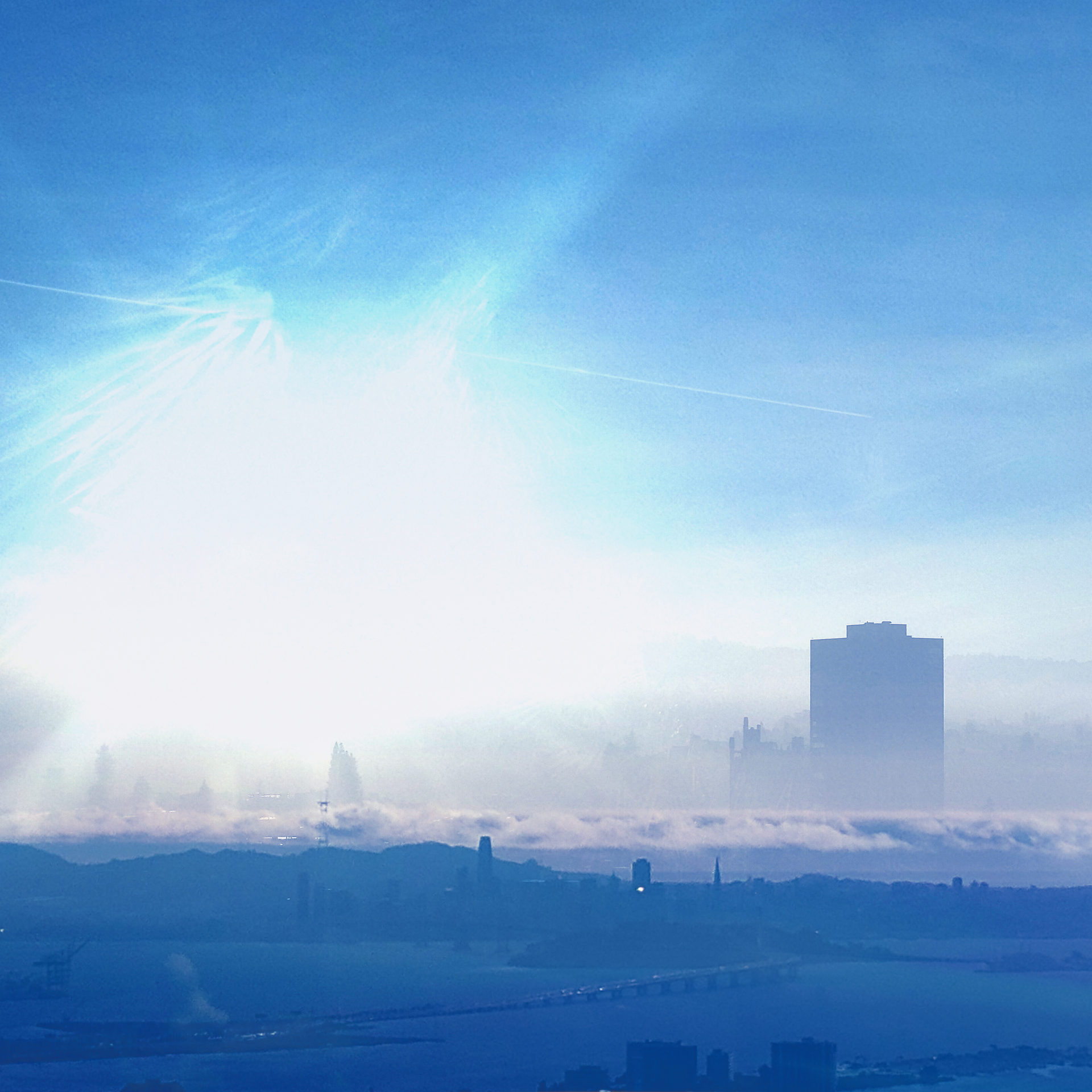 [SELA57] infinite loop of performative behavior - Limited Edition