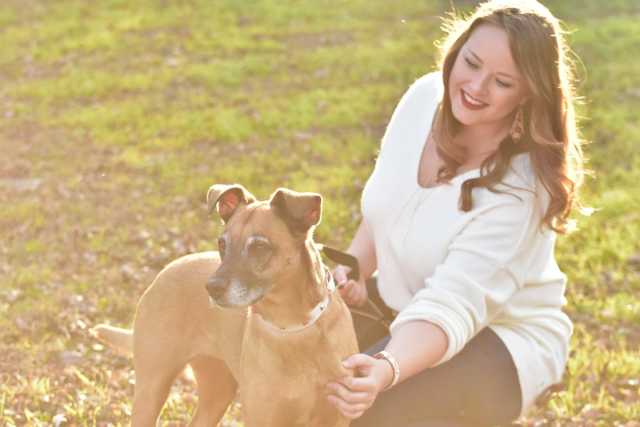 Grooming Salon — Drive, Dallas, TX — Smith Animal Clinic Grooming Salon — Drive, Dallas, TX — Smith Animal Clinic