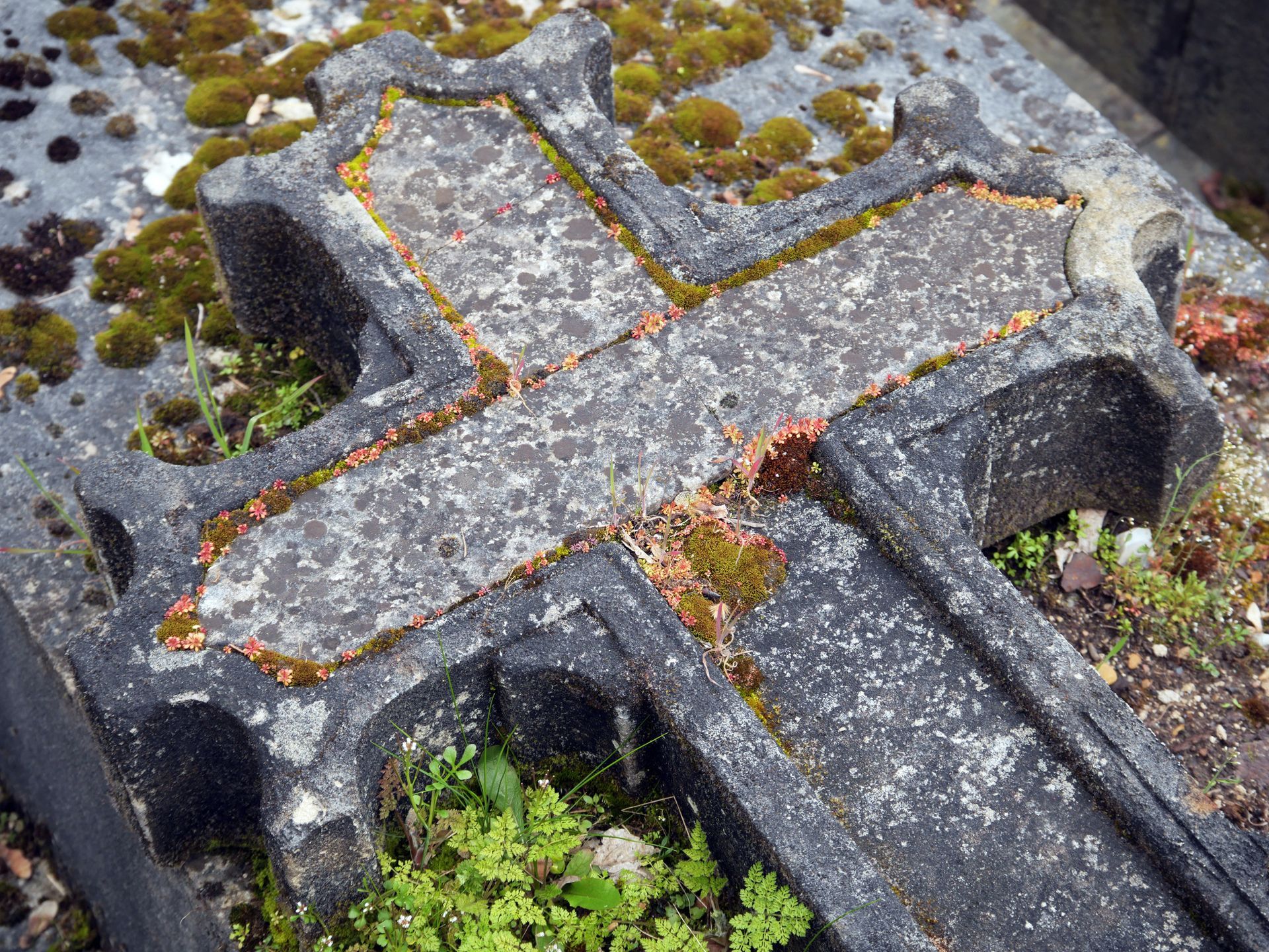 Our Mission — Tamworth, NSW — A Superior Monument