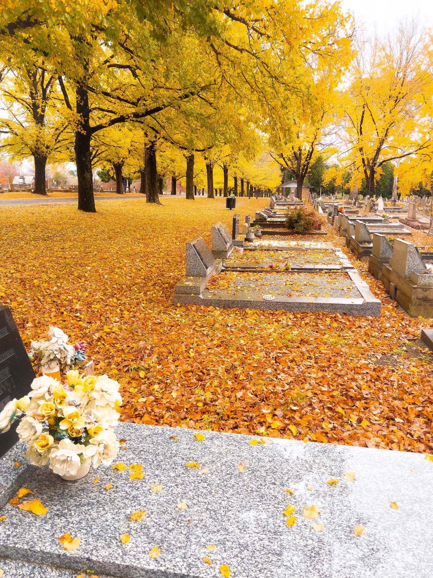 Natural Hand Etching — Tamworth, Nsw — a Superior Monument