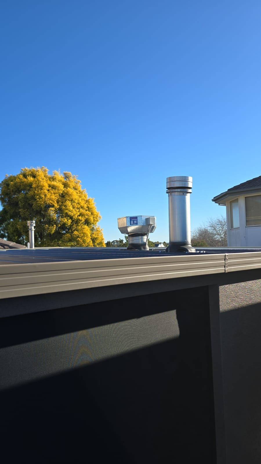 A rooftop scene with a vent, clear blue sky, and a yellow-flowering tree.