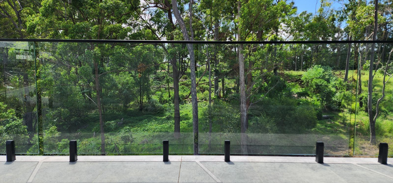 View of green trees and grass through a glass barrier with black posts.