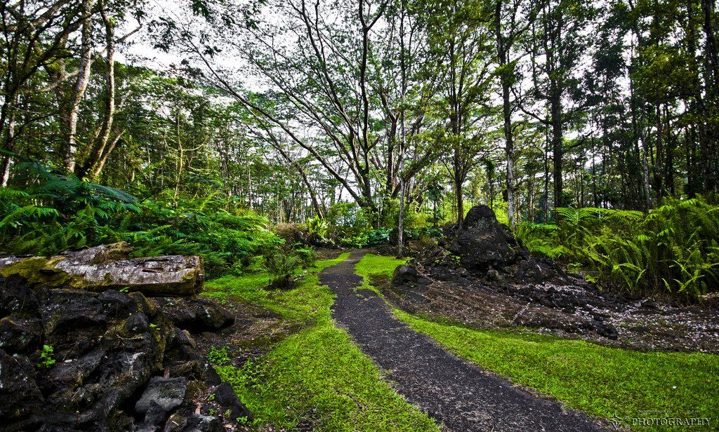 lava tree state park
