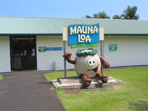 Mauna Loa Macadamia Nut Farm