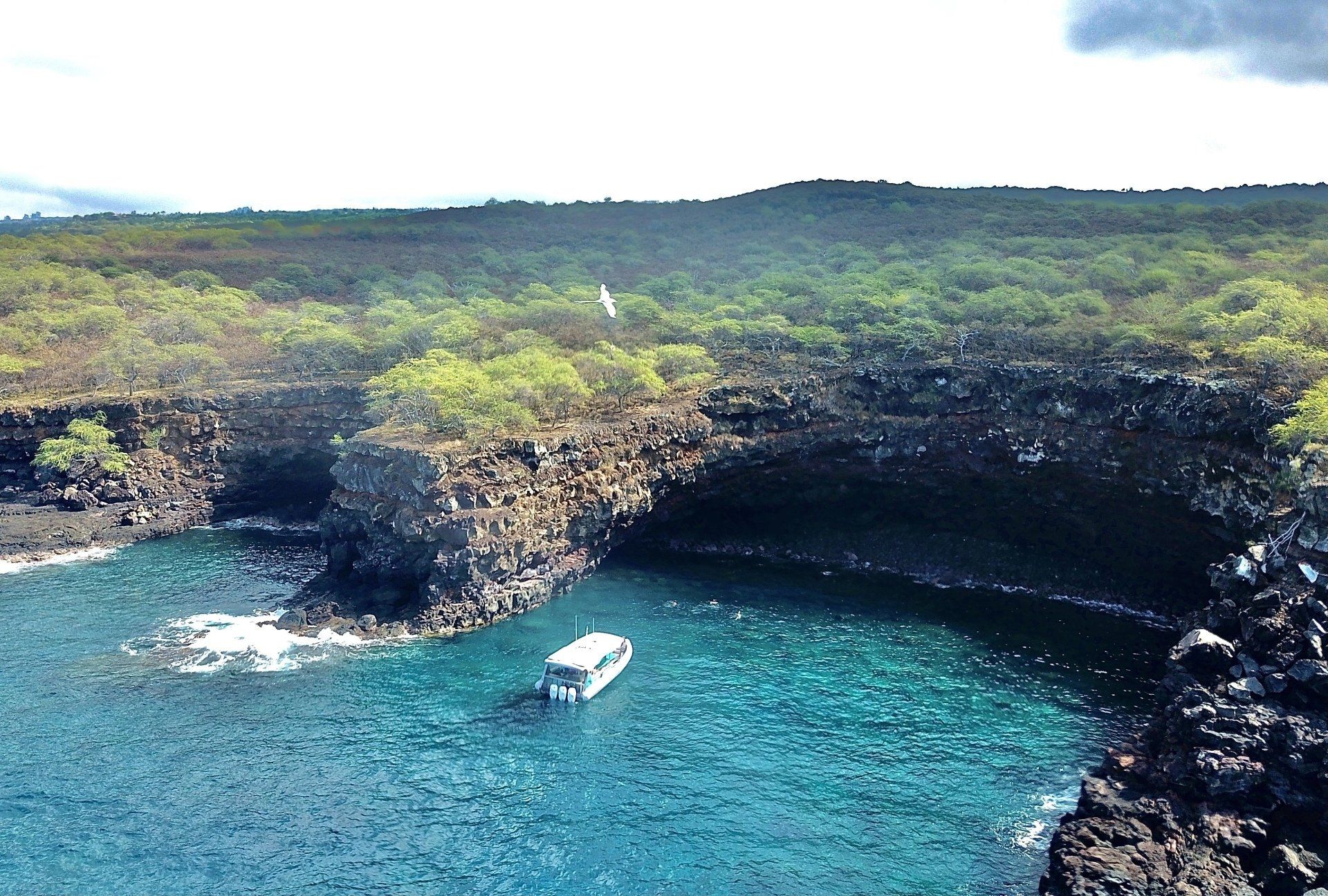 Snorkel in Kealakekua Bay Captain Cook