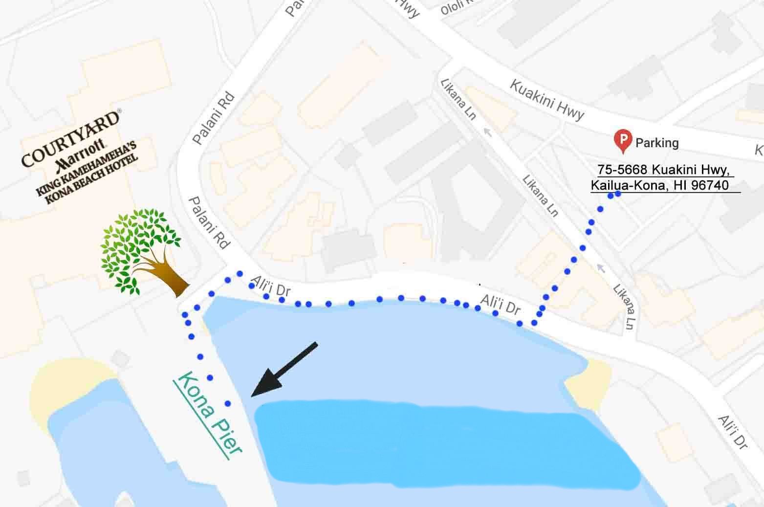 meeting location for Dolphin Reef snorkel