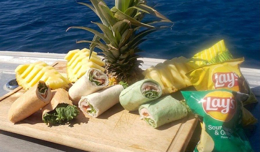 lunch Dolphin Reef snorkel to Kealakekua Bay Captain Cook. Kailua Kona Hawaii