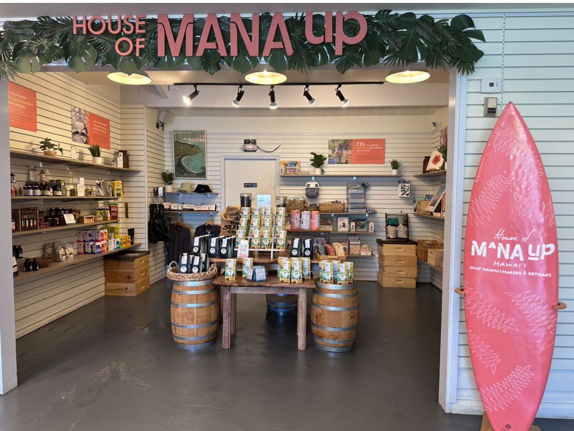 Sea Turtle beach Kailua Kona Shore excursion