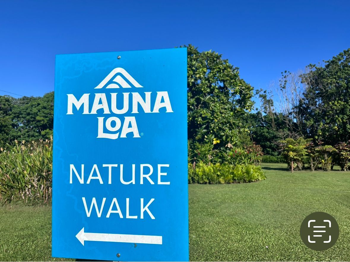 Sea Turtle beach Kailua Kona Shore excursion