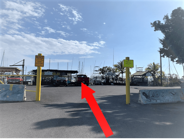 Manta Ray Snorkel meeting location