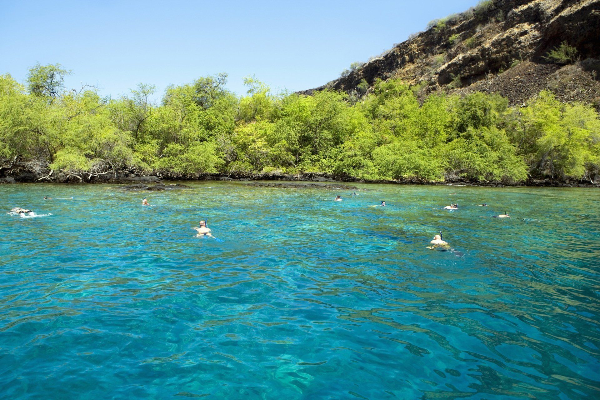 Snorkel in Kealakekua Bay Captain Cook