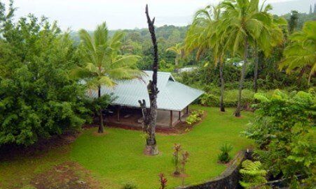 Guided tour to Kona Coffee Farm Greenwell Coffee Farm