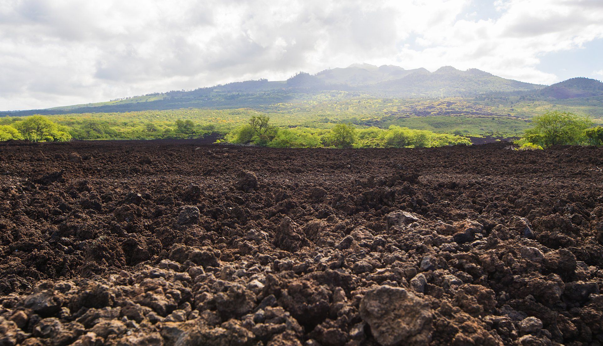 Best highlights of Maui Tours, Shore excursions