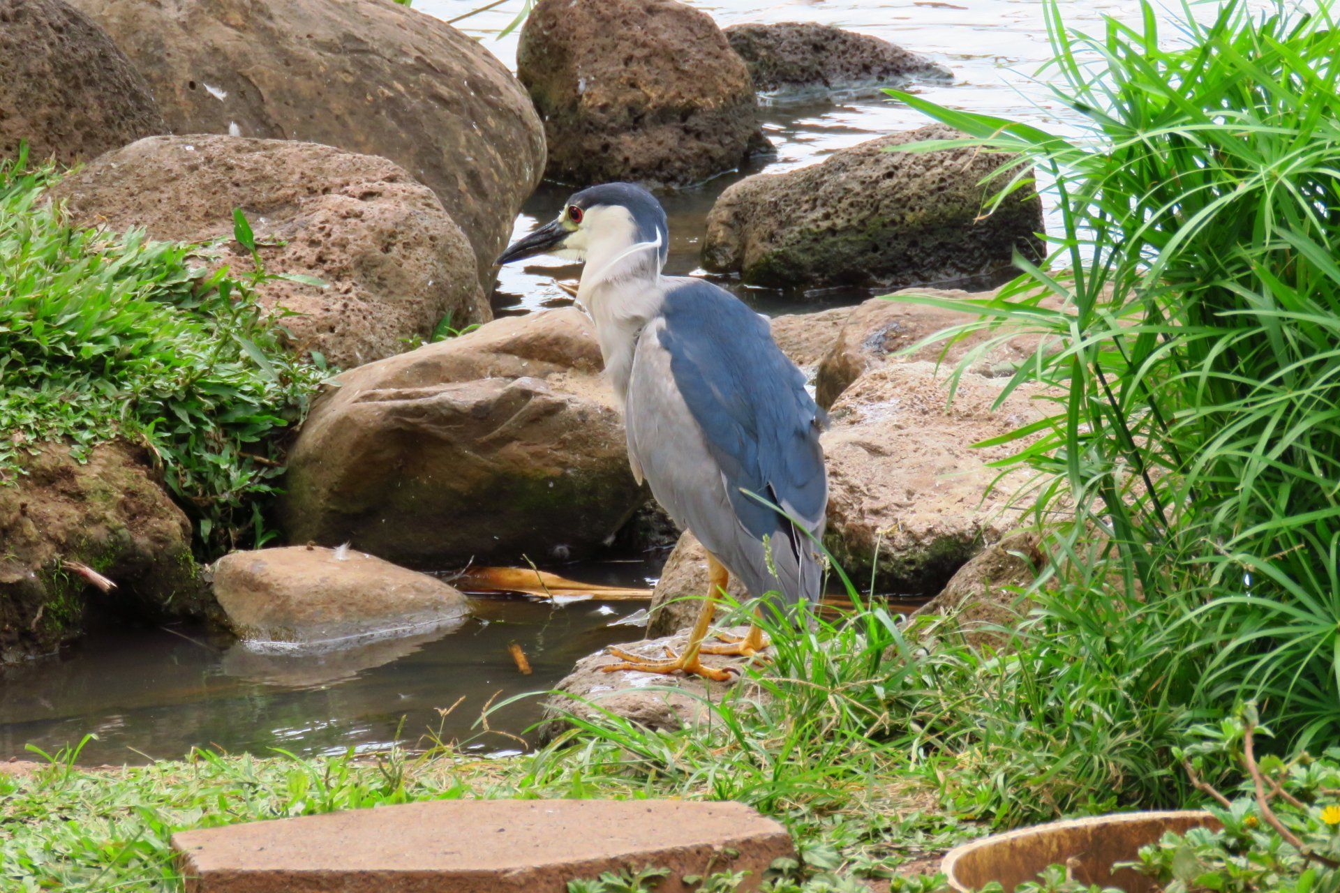 Best highlights of Maui shore excursion