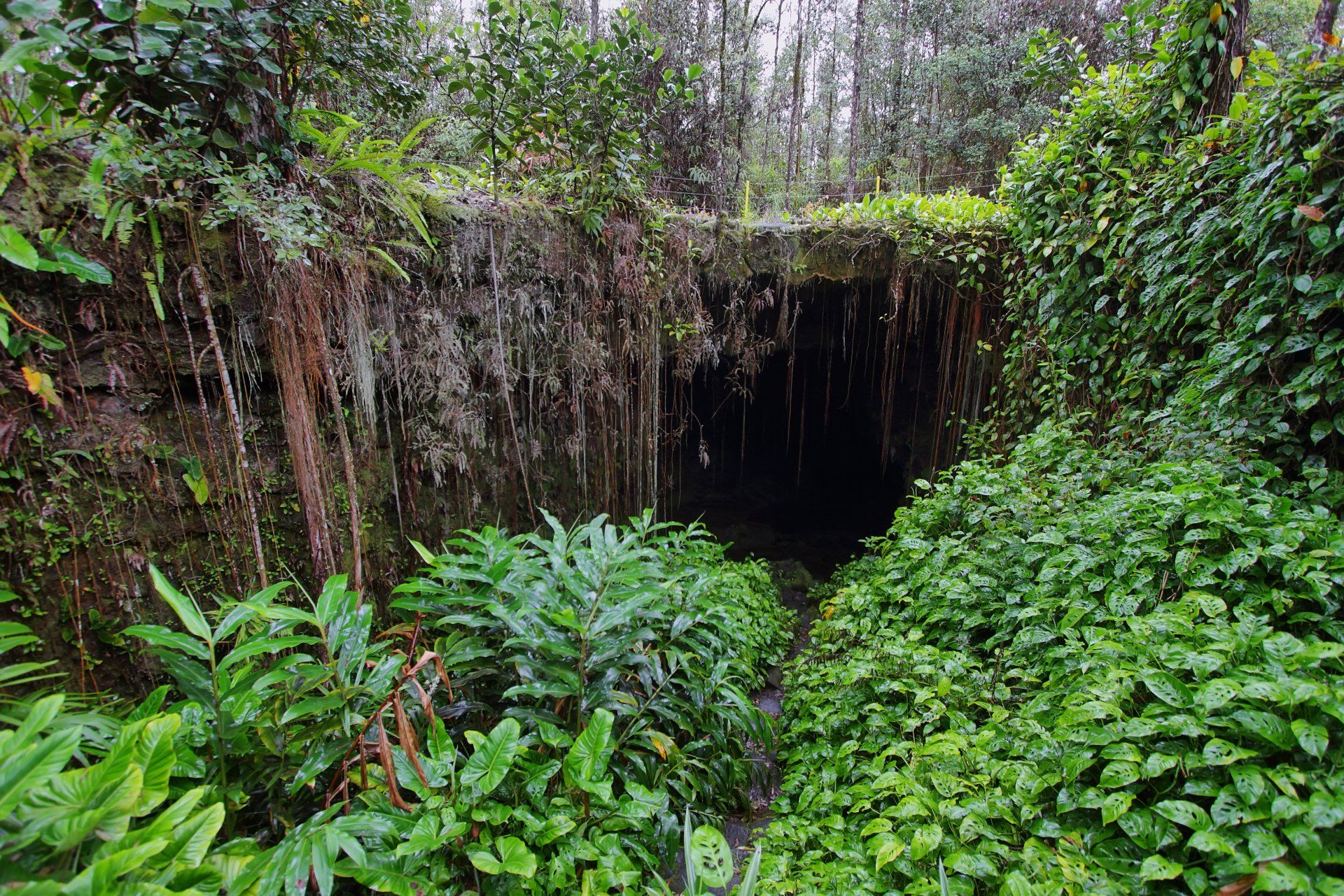 tour Kaumana Lava tube