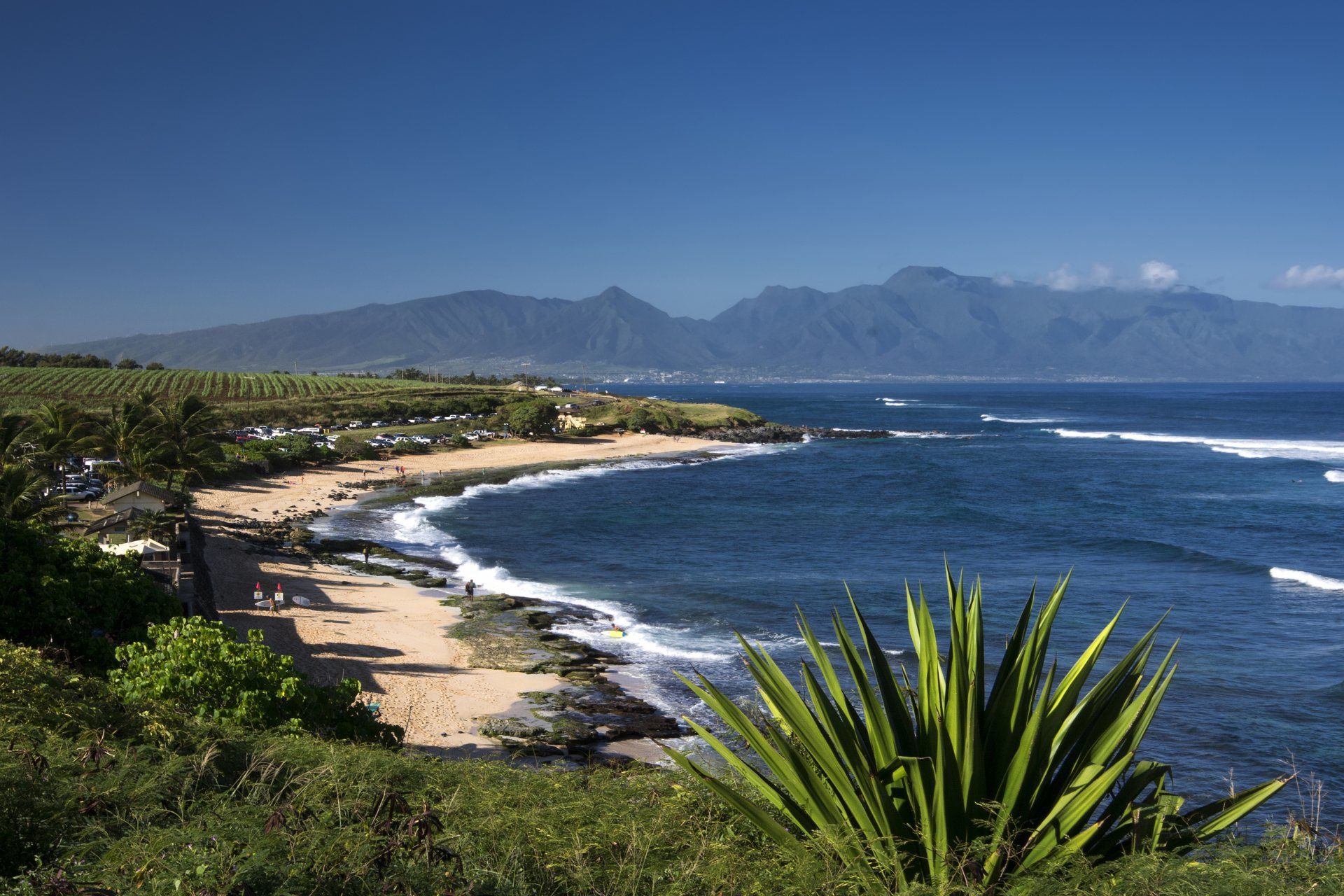 white sand meach Maui