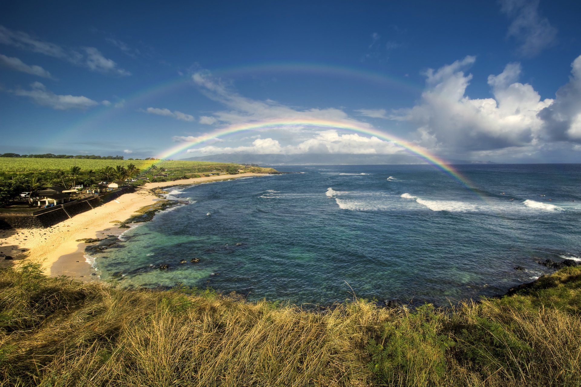 Best place to see sea turtles in Maui