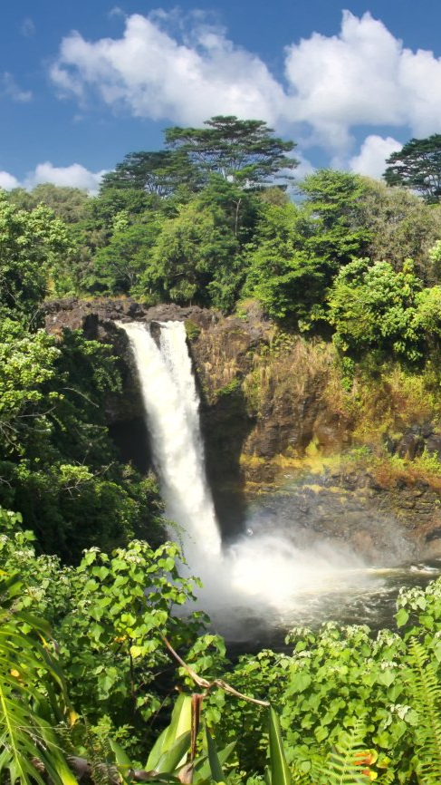 Waterfall cascading into a pond surrounded by lush green foliage under a blue sky with clouds.