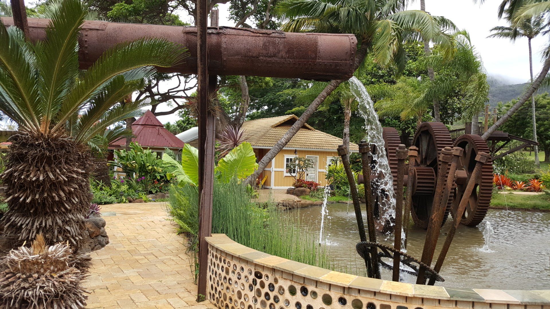 Best highlights of Maui shore excursion