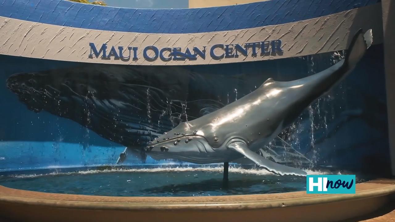 Maui Ocean Center