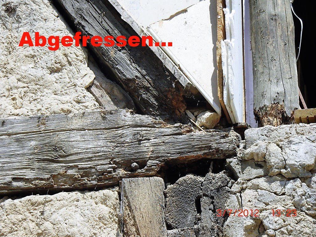 Eine Nahaufnahme eines Holzbalkens in einer Steinmauer mit den Worten „Abgefressen“ in Rot.
