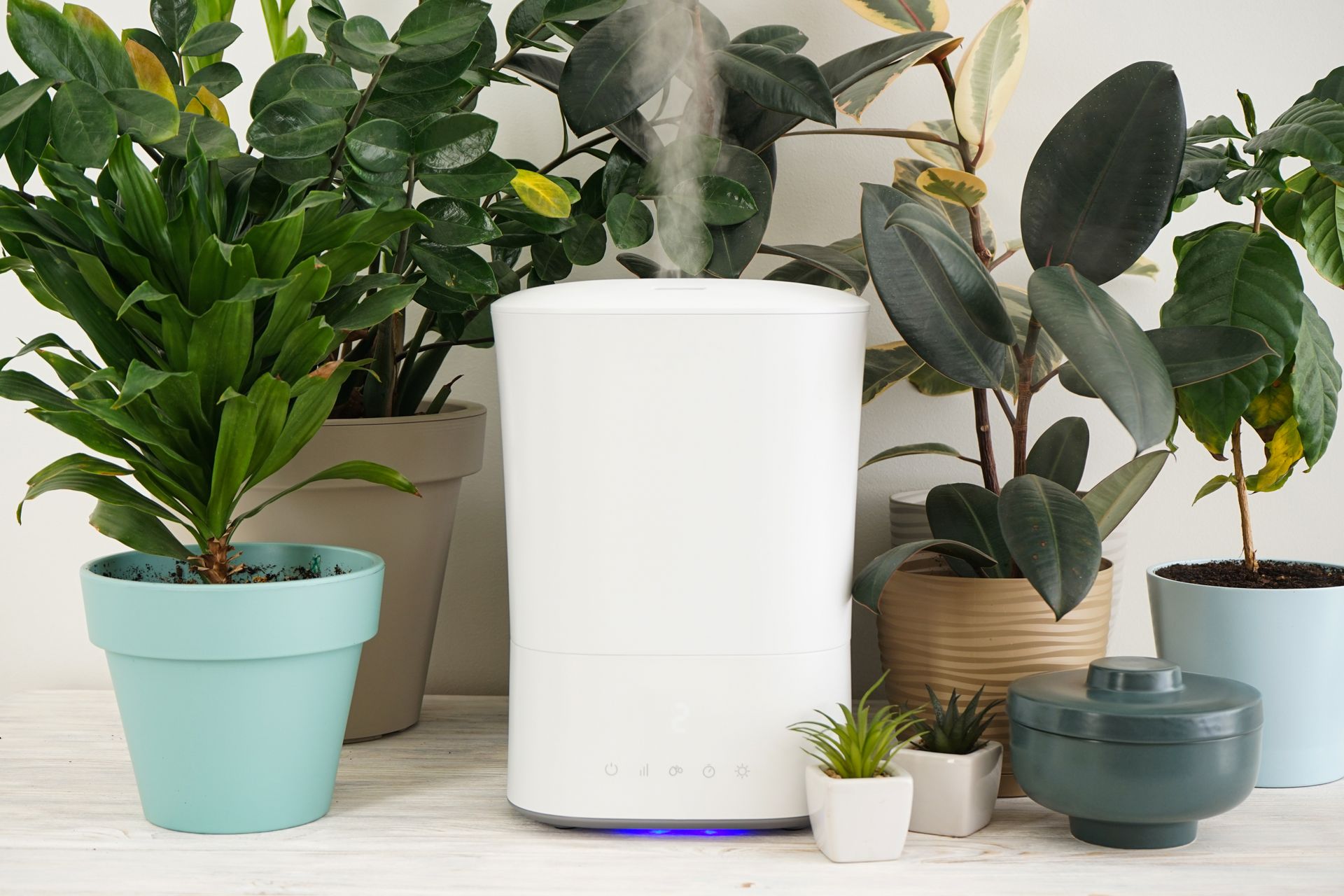 White humidifier surrounded by potted plants, emitting mist.