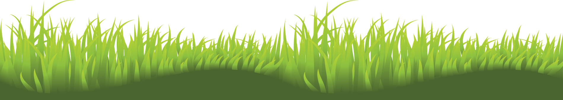 A lush green field of grass on a white background.