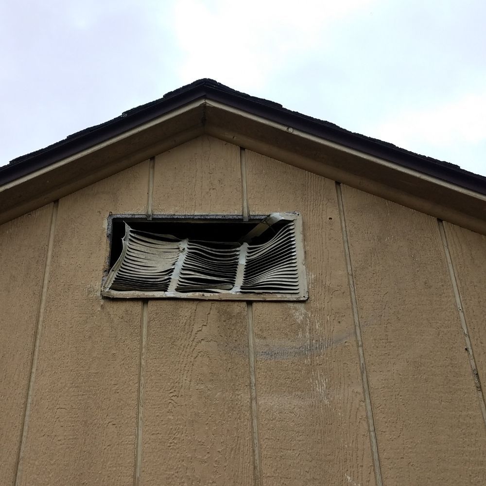 Bat Exclusion Services by Downriver Pest Control 