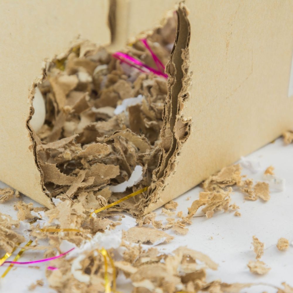 Odorous House Ants - Downriver Pest Control