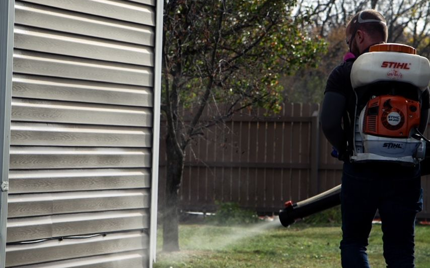 Odorous House Ants - Downriver Pest Control