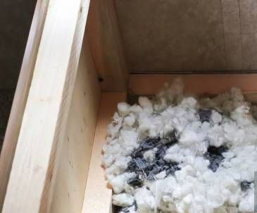 Field Ants - Downriver Pest Control