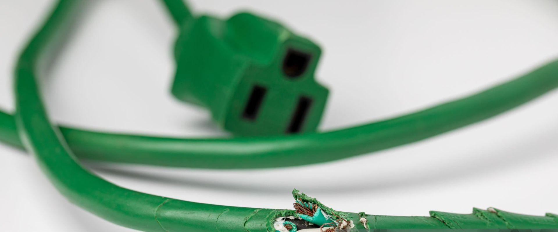 Pavement Ants - Tiny Ants - Downriver Pest Control