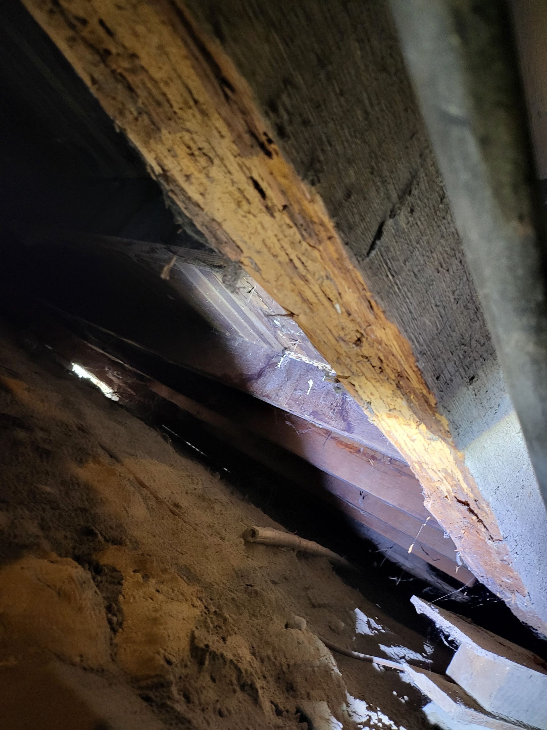 A close up of a piece of wood with water coming out of it.